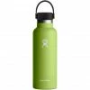 Hydro Flask Standard Mouth Bottle with Standard Flex Cap 532ml seagrass