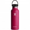 Hydro Flask Standard Mouth Bottle with Standard Flex Cap 532ml snapper