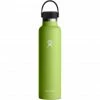 Hydro Flask Standard Mouth Bottle with Standard Flex Cap 709ml seagrass