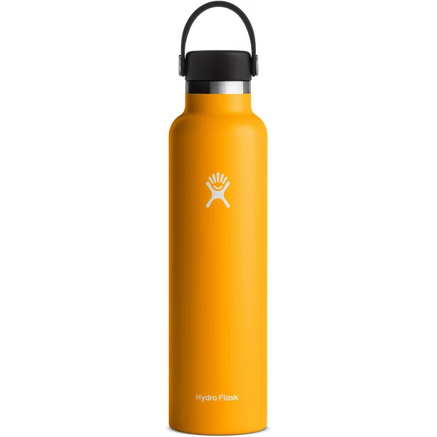 Hydro Flask Standard Mouth Bottle with Standard Flex Cap 709ml starfish 3 Hydro Flask Standard Mouth Bottle with Standard Flex Cap 709ml starfish